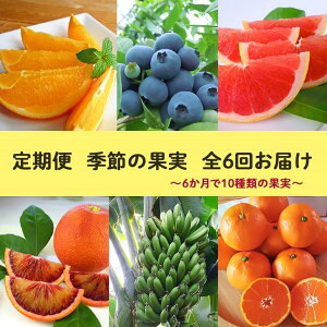 【定期便】定期便全6回農園採れたて『季節の果実』をお届け