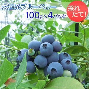 yӂ邳Ɣ[ŁẑꂽāI嗱nu[x[@100g×4pbN 2026N5{`7{ɏ\