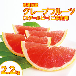 yӂ邳Ɣ[ŁzlYO[vt[ciX^[r[jƒp@6-8ʁi2.2kgj 2026N5{`7{ɏ\