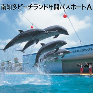 【ふるさと納税】南知多ビーチランド入場券A