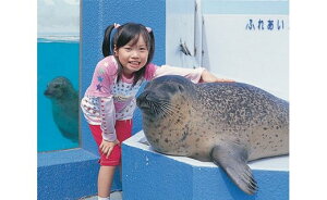 【ふるさと納税】南知多ビーチランド飼育係一日体験