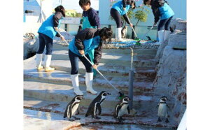 【ふるさと納税】南知多ビーチランド飼育係一日体験