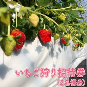 yӂ邳Ɣ[Łz菵Ҍi2ljb䕎 C`S yA ~ t ʕ 2025N10{`2026N1{ɏ\