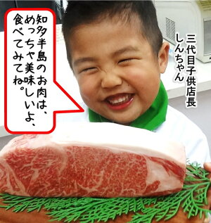【ふるさと納税】高級4等級使用!!【サーロインステーキ】250g4枚『知多牛』生肉で送ります!!