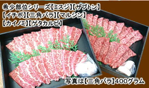 yӂ邳Ɣ[Łz󏭕ʂ̏ēBBQZbgy1Lz4gp!!wmx kCEE͗̕ʂقȂ܂̂ŁALeʗŊmFĂB