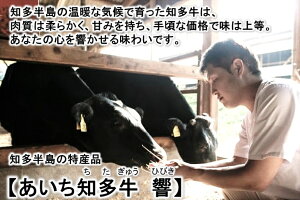 【ふるさと納税】希少部位の焼肉BBQセット【たっぷり1キロ】高級4等級使用!!『知多牛』生肉で送ります!!