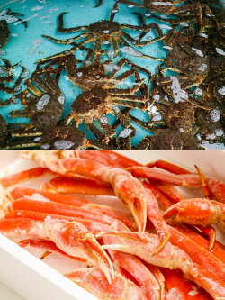 【ふるさと納税】【魚太郎】人気のずわい蟹たっぷり2キロ