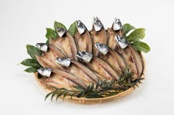 【ふるさと納税】【魚太郎】1番人気”とろさば”特盛セット