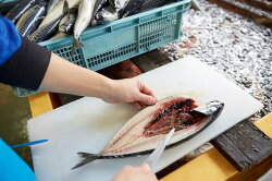 【ふるさと納税】【魚太郎】1番人気”とろさば”特盛セット