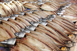 【ふるさと納税】【魚太郎】1番人気”とろさば”特盛セット