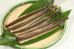 【魚太郎】知多半島の恵みセット