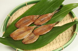 【魚太郎】知多半島の恵みセット