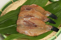 【魚太郎】知多半島の恵みセット