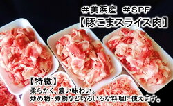 【ふるさと納税】ブランド豚【3キロ超え!】【小分け】がうれしい【SPF豚】の【恋美豚】セット※北海道・沖縄・離島の方は量が異なりますので、下記内容量欄で確認してください。