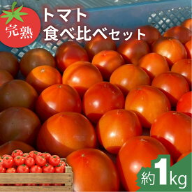 【ふるさと納税】完熟トマト食べ比べセット約1kg 3種類のトマト 美味しさ選別 ｜とまと トマト 減農薬 野菜 やさい 人気 新鮮 産地直送 直売 甘い 高糖度 完熟 リコピン ビタミン ダイエット 美容 美肌 愛知県 美浜町 ※2026年1月上旬〜5月下旬頃に順次発送