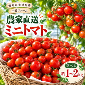 【ふるさと納税】農家直送 ミニトマト 約 1kg or 2kg｜とまと トマト 減農薬 野菜 やさい 人気 新鮮 産地直送 直売 甘い 高糖度 完熟 リコピン ビタミン ダイエット 美容 美肌 愛知県 美浜町 ※2027年1月上旬～4月下旬頃に順次発送予定