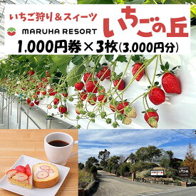 【ふるさと納税】まるは食堂 マルハリゾート いちごの丘1,000円券3枚（3,000円分）※着日指定不可