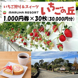 【ふるさと納税】まるは食堂 マルハリゾート いちごの丘1,000円券30枚（30,000円分）※着日指定不可