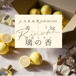 �y�ӂ邳�Ɣ[�Łz������ ��̂� 3kg | ���Y ����� ���̍� �E�G ���b�N�X �h���� �s�g�p �t���[�c �������� �ʕ� ���ʌ��� ���m�� ���l�� ���k�C���E����E�����ւ̔z���s�� ��2026�N1�����{�`2