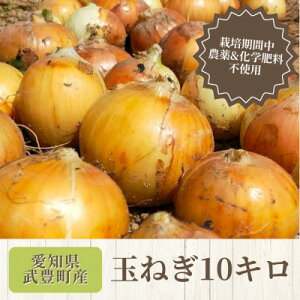 yӂ邳Ɣ[Łzy4{珇zʂ˂10kg@͔|Ԓw엿/_sgpy1660261z