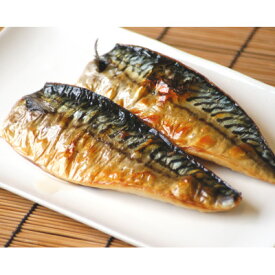 【ふるさと納税】塩さばフィレ 8枚(2枚×4袋)(冷凍) 小分けで便利!お弁当やおかずにも使えます!【配送不可地域：離島・北海道・沖縄県】【1697255】