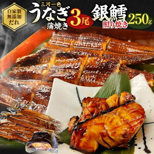yӂ邳Ɣ[ŁzO͈FY ȂĂ 3+ ₽ ƂĂ 250g V ΏĂ ₾ ^ ̏Ă ^t   y Zbg ȒP Ⓚ Kc 