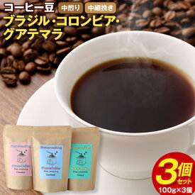 【ふるさと納税】コーヒー豆 3個セット (100g×3個) 合計300g ブラジル コロンビア グアテマラ 中煎り 中細挽き 3種 ギフトBOX付き コーヒー 珈琲 自家焙煎 ひなた珈琲 幸田町 送料無料