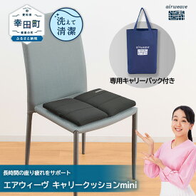 【ふるさと納税】【TBSひるおびで紹介】エアウィーヴ キャリークッションmini | クッション 座布団 折りたたみ 椅子用 チェア 椅子用クッション デスクワーク オフィスチェア 洗える 高反発クッション 飛行機 旅行 持ち運び 日本製 airweave エアウィーブ