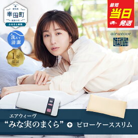 【ふるさと納税】【最短当日発送】枕 エアウィーヴ ピロー スリム (みな実のまくら) ピローケース スリムセット 幅80cm | 田中みな実 枕 低め 女性 低い枕 ストレートネック スマホ首 高反発 洗える枕 高さ調整シート 通気性 ギフト 日本製 airweave エアウィーブ