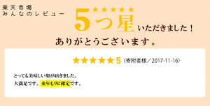 【ふるさと納税】《数量限定》幸田町産「梨」5kg(10〜12玉)箱入り※着日時指定、北海道・沖縄・離島への発送不可※8月中旬頃〜9月上旬頃に順次発送予定