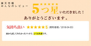 【ふるさと納税】エアウィーヴエアパッド016