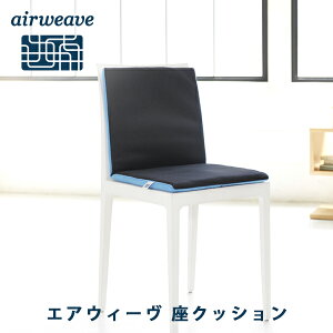 ★数量限定★【ふるさと納税】エアウィーヴ座クッション(キャリーバッグ付)