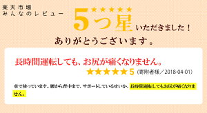 ★数量限定★【ふるさと納税】エアウィーヴ座クッション(キャリーバッグ付)