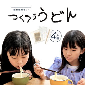 【ふるさと納税】たのしい食育と伝統食が学べる食育教材キット「つくろううどん」 教材 うどん 制作 キット 教材 自由研究 夏休み 体験 無添加 麺 知育 国内産 愛知県 幸田町 国産 送料無料