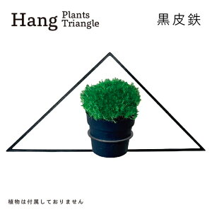 yӂ邳Ɣ[ŁzGRAVIRoN Hang Plants V[Y vcnK[ Triangle (S) nMOvc v^[ nMO GAvc ݂邷 Az_[ ϗtA CeA  
