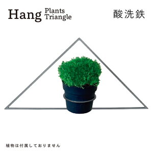 yӂ邳Ɣ[ŁzGRAVIRoN Hang Plants V[Y vcnK[ Triangle (_S) nMOvc v^[ nMO GAvc ݂邷 Az_[ ϗtA CeA  