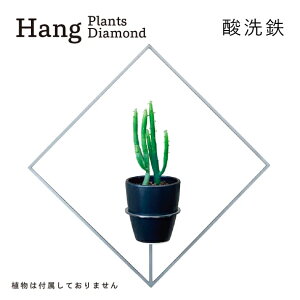 yӂ邳Ɣ[ŁzGRAVIRoN Hang Plants V[Y vcnK[ Diamond (_S) nMOvc v^[ nMO GAvc ݂邷 Az_[ ϗtA CeA  