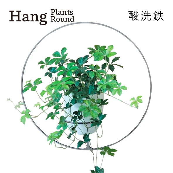 大人気のHangからハンギングプランツ用のアイテムが新たに登場。Hang Clockシリーズと同サイズでプランツポットをひっかけられるハンギングを製作しました。 【ふるさと納税】GRAVIRoN Hang Plants シリーズ プランツハンガー Round (酸洗鉄) ハンギングプランツ プランター ハンギング エアプランツ 吊るす 植物ホルダー 観葉植物 インテリア 金属製 おしゃれ モダン 日本製 送料無料