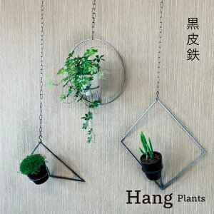 yӂ邳Ɣ[ŁzGRAVIRoN Hang Plants V[Y vcnK[ (S) Triangle/Diamond/Round 3 Zbg nMOvc v^[ nMO GAvc ݂邷 Az_[ ϗtA 