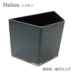 yӂ邳Ɣ[ŁzIׂfށHalioninIj ubNGh SE_S 750g W70mm×D140mm×H102mm ubNX^h {  fXN njJ\ ItBXƋ CeA [p