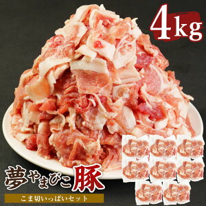 yӂ邳Ɣ[Łz܂т ܐ؂ςZbg 4kg ؓ   Ԑ؂ ܐ؂  ^pbN ① 