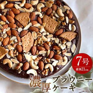yӂ邳Ɣ[ŁzibcՂ Z P[L 7 a21cm dʖ550g `RuEj[ uEj[P[L `RP[L `R[gP[L XC[c fU[g mَq َq ① 