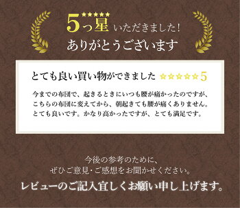 【ふるさと納税】エアウィーヴ四季布団(シングルサイズ)洗える敷布団敷き布団四季布団マットレスパッド洗濯できるairweaveおすすめエアウィーブairweave送料無料