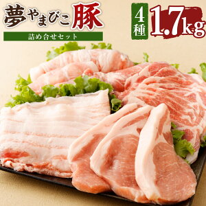 yӂ邳Ɣ[Łz܂т lߍZbg 1.7kg 4 ([XE[XXCXEoXCXEXCX) ؓ  lߍ킹 Zbg gJc  ^pbN ① 
