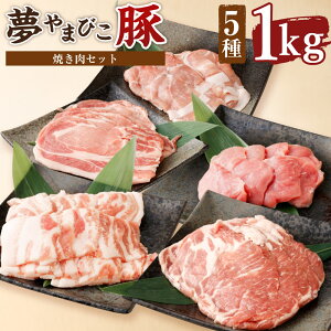 yӂ邳Ɣ[Łz܂т ēZbg 1.0kg v1kg 5 ([XE[XEoEqEԐ؂) ؓ  lߍ킹 Zbg ēp Ă BBQ  ^pbN ① 