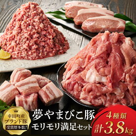 【ふるさと納税】豚肉 小分け 合計3.8kg「内閣総理大臣賞 夢やまびこ豚」モリモリ満足セット ( 豚小間切れ 2kg 豚ミンチ 1kg 豚ロースカツ 500g 豚バラ角切 300g ) / 豚肉 小分け 真空パック 大容量 豚バラ 豚 肉 こま切れ 豚しゃぶ しゃぶしゃぶ 冷凍 小分けパック
