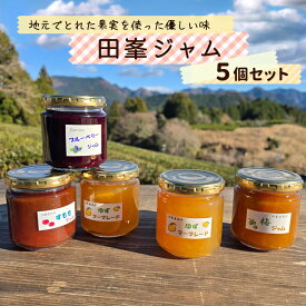 【ふるさと納税】田峯手作りジャム 5個セット ブルーベリー マーマレード ゆず 梅 すもも 桃 ジャム 手作り スーツ 加工品 デザート パン -021