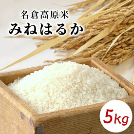 【ふるさと納税】令和7年度産★大粒でもちもちとした食感が特徴！名倉高原米「みねはるか」5kg 米 お米 白米 ごはん -016