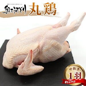 yӂ邳Ɣ[ŁzmY { O͂ǂ ی{ 1H 2kg  Y ۂƈH Ⓚ  { `L NX}X p[eB[ o[xL[ BBQ AEghA Lv _b`I[u `L