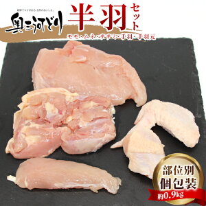 yӂ邳Ɣ[ŁzmY { O͂ǂ H   0.9kg {Zbg Y Ⓚ  { `L NX}X p[eB[ o[xL[ BBQ AEghA Lv _b`I[u `L